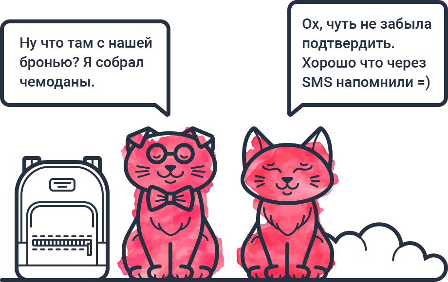 Котики обсуждают поездку и бронь жилья